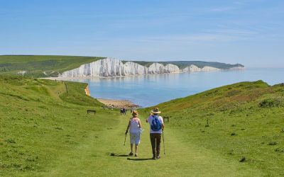 Estate Tax Planning for Domestic and International Persons
